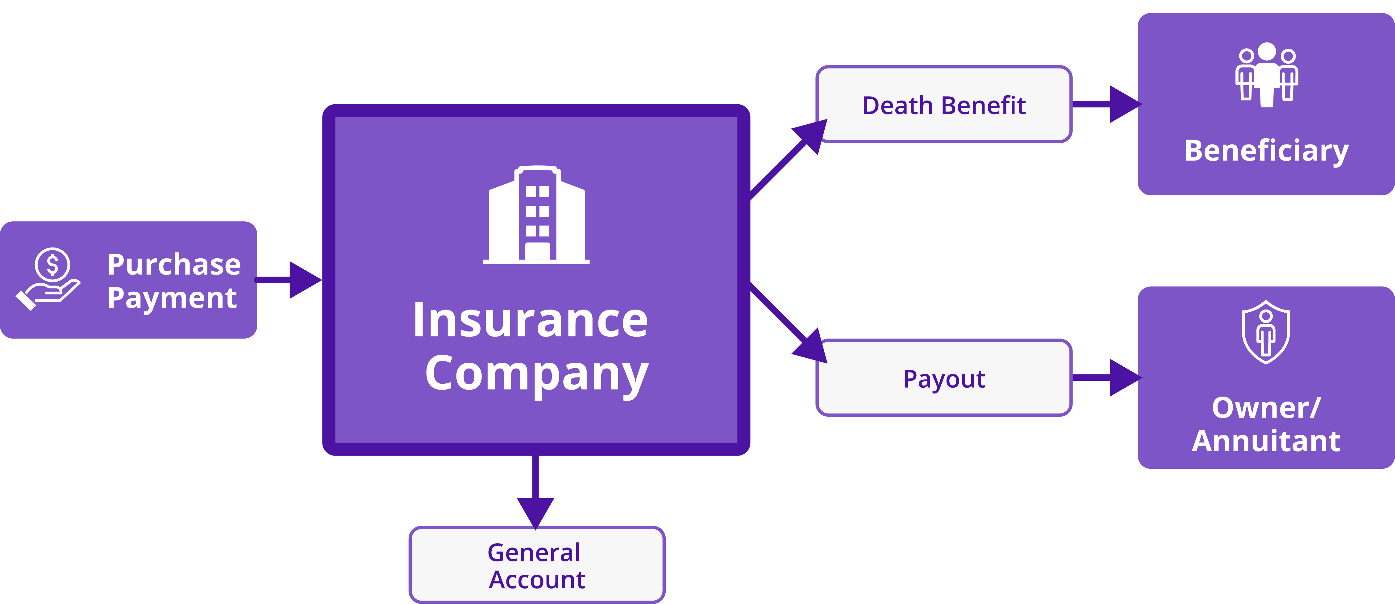 Flow chart showing how immediate annuities work.