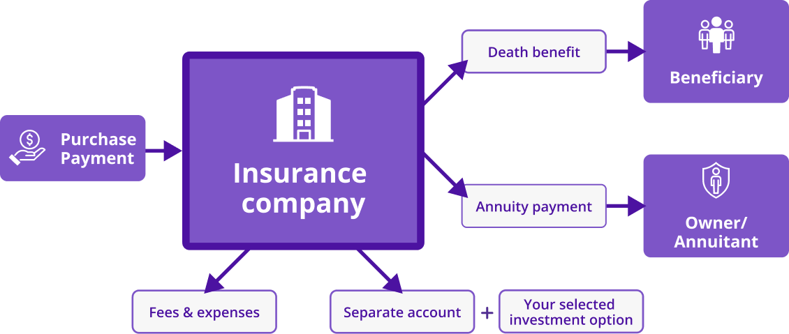 graphic explaining how variable annuities work